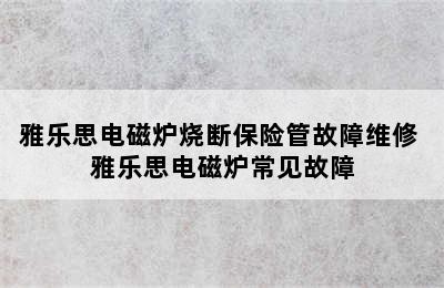 雅乐思电磁炉烧断保险管故障维修 雅乐思电磁炉常见故障